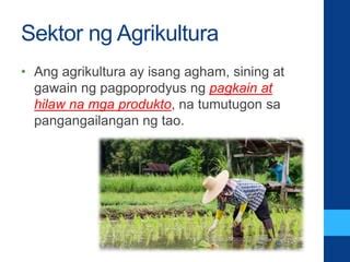 aralin 21 sektor ng agrikultura|Sektor Ng Agrikultura – Ano Ang Mga Iba’t Ibang .